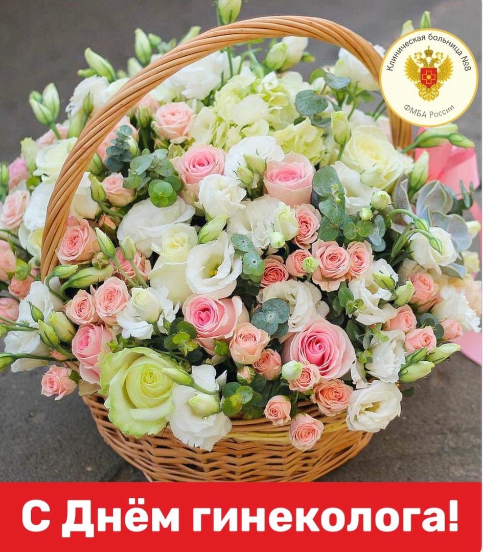 15 июля - Всероссийский день гинеколога